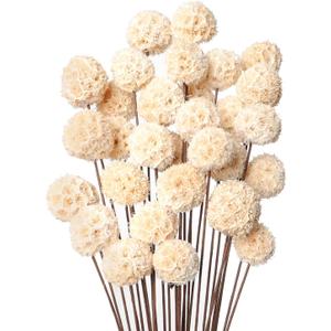 30 PCs Billy Ball Craspedia Bouquet: Natural Dried Flowers for Vase, Boho Decor & DIY Parties - White