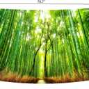 Delur Forest Pathway Tapestry Sunset Tropical Rainforest Nature Tree Tapestry Wall Hanging Sunrise Scenic Natural Green Landscape Headboard for Bedroom Living Room Home Decor (59.1" x 78.7")