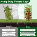 ZeeDix [Upgraded] 2 Pack Heavy Duty Tomato Cages for Garden, 57 Inch Foldable Plant Support Stakes for Heavy Climbing Plants, Adjustable Tomato Trellis for Pots Indoor & Raised Garden Bed Outdoor
