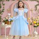 Princess Cinderella Costume for Girls Kids Cosplay Dress Carnival Halloween Party Outfit (Blue)