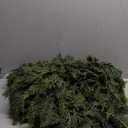 6ft Christmas Garland Realistic Soft and Thickness Green Faux Cedar Pine Garland Artificial Cedar Cypress Garland for Home Fireplace Wall Indoor Outdoor Holiday Party Home Decoration