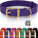 BRONZEDOG Leather Dog Collar with Metal Buckle Durable Basic Pet Collars for Small Medium Large Dogs (11-13 Inch (Pack of 1), Purple & Gold Buckle)