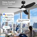 Hoenofly 48 Smart Ceiling Fans with LED Lights Remote,Quiet DC Motor,Dimmable,Outdoor Indoor Modern Ceiling Fan Controlled by WIFI Alexa App,3 Black Blades for Bedroom Living Room Patio Porch