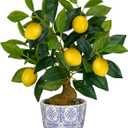 Artificial Potted Plants, 15.7 inches Small Fake Lemon Tree Artificial Lemons Citrus Tree with Blue and White Pot Faux Potted Plants Indoor Lemon Decorations for Home, Office, Living Room Table, Desk