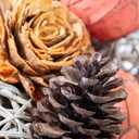 Natural Tones Vase & Bowl Fillers Decorative Balls | Home Decor (Autumn Orange)