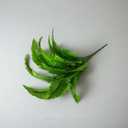 Simulate Plants, Bundle Green Plants, Potted Decorations, Fake Flower Plants for Landscaping (Set of 5 Branches) (Little Persia (5-piece Set))