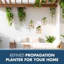 · GARDEN REPUBLIC · Propagation Stations Set of 3 - Propagation Vases for Plants - Hanging Wooden Wall Planter and Glass Test Tubes - Indoor Plant Holder, Hydroponic Decor
