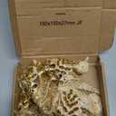 MECCANIXITY 2Pack Rhinestone Applique Patches, 11x7 Inches Champagne Lace Embroidery Patches Sew on Rhinestone Beaded Sequins for Sewing Making Dresses Wedding Banquet Evening Gown Decoration