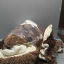 Joyreap 3-Piece Plush Shaggy Comforter Set, Full/Queen Size Luxury Faux Fur Sherpa Reversible Bedding Comforter Set, Ultra Cozy Warm Fluffy Bedding Set for Winter (Tie-dye Coffee, 88x88 inches)