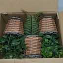 Small Fake Plants, 3 Pack Mini Potted Artificial Fern, Eucalyptus, Aglaia Odorata Plant in Rattan Pots, for Farmhouse, Home Decor, Office, Bathroom, Desk, Indoor & Outdoor