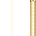 EDISHINE LED Corner Floor Lamp, Modern Slim Dimmable Light, Adjustable Height, 57.5" Minimalist Tall Lamp for Living Room, Bedroom, Office, 3000K Warm White Light (Gold)
