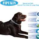 Flea and Tick Collar for Large Dogs, 2‑Pack | 8‑Month Waterproof Protection with Natural Essential Oils | Includes Comb & Tick Removal Tool