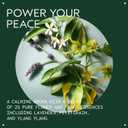 Aveda Shampure Nurturing Shampoo for Fine to Medium Hair | Gently Cleanses Hair | Daily Shampoo | 96% Naturally Derived* | Calming Aroma of Lavender & Ylang Ylang