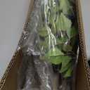 5Ft Artificial Birch Tree, Green Birch Tree for Indoor, Fake Potted Ficus Tree with Silk Leaves for Home Office Living Room Decor (7in)