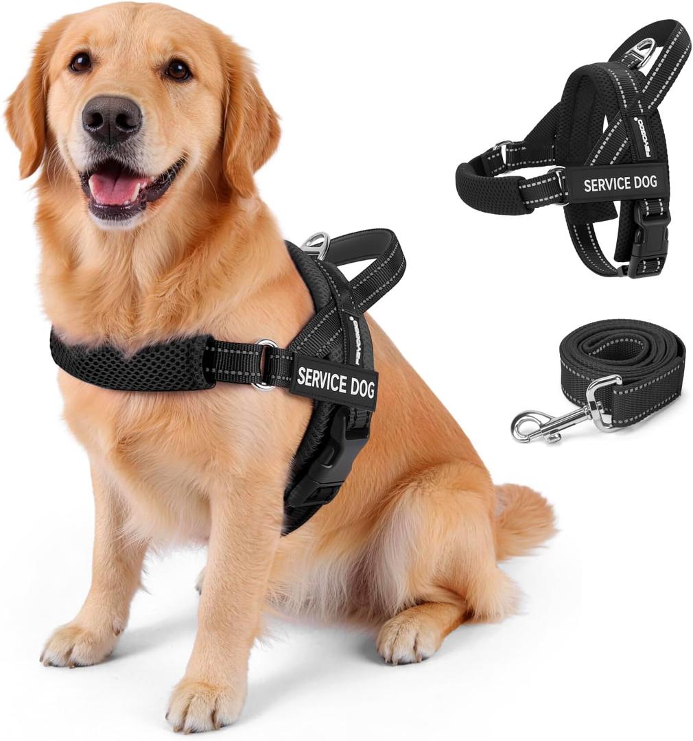 FAYOGOO Service Dog Vest for Large Sized Dogs,Lightweight Service Dog Harness with Adjustable Chest Strap,No-Pull No-Chock Escape Proof Dog Harness for Walking Training, L