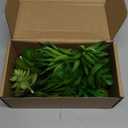 22pcs Artificial Succulents Realistic Mini Succulent Plants, Green Succulents Small Plants for DIY Crafting Garden Home Arrangement Office Decorations (Unpotted)