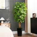 6ft Ficus Artificial Tree with 3 Natural Curved Trunks, 74" Tall Lush Faux Tree for Home Decor Indoor, Green Lifelike Fake Ficus Tree with Black Planter Pot