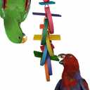Super Bird Creations SB625 Olympic Rings Bird Toy, Large Bird Size, 15 x 4 x 4