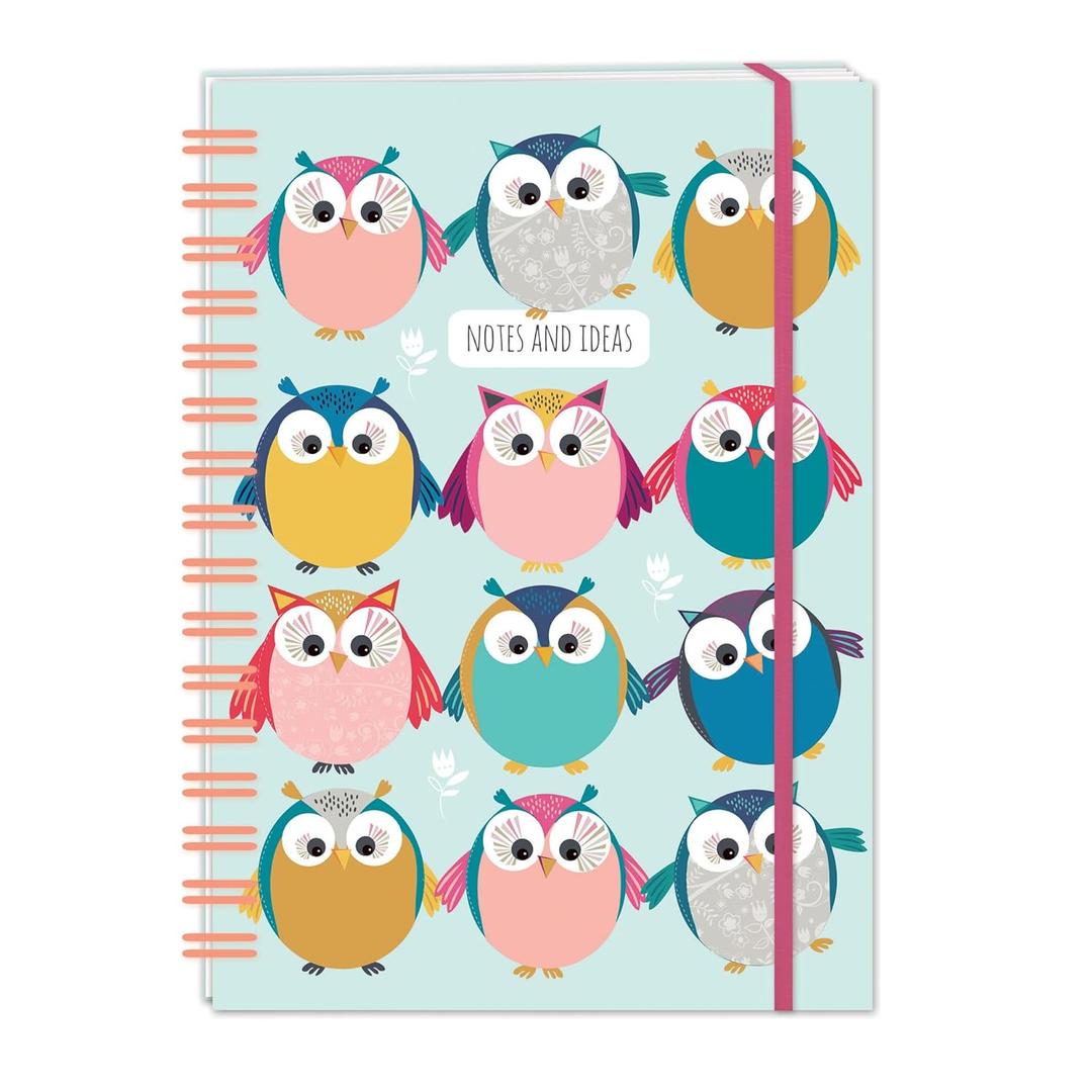 Little Owls Lined Notebook: Plastic Free Packaging