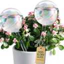 Soilagua Extra-Thick Clear Glass Plant Watering Globes, Rainbow Gradient Self Watering Globes, Automatic Plant Waterer, Self Watering Planter Insert Spikes Devices for Everyday or Vacation Use, 2-Pack