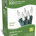 Holiday Home Indoor Outdoor 100 Green Wire LED Mini Christmas Lights - Warm White