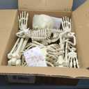 5.4Ft Halloween Life Size Human Skeletons with Cat Skeleton, Plastic Human Realistic Poseable Skeletons Full Body Bones with Movable Joints for Halloween Props Spooky Party Decoration