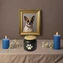 Black Small Porcelain Pet Urn with Wooden Paw Lid  Ceramic Cremation Urn for Doggo, Kitty or Fur Baby Ashes 2.9''x2.9'' Sealing Well, Elegant Decorative Memorial Display Urn