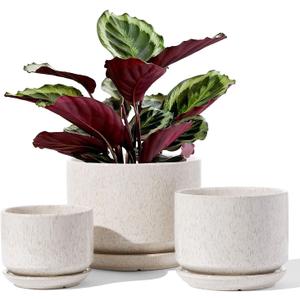 LE TAUCI Ceramic Plant Pots, 4.3+5.3+6.8 inch, Set of 3, Planters with Drainage Hole and Saucer, Indoor Flower Pot with Hole Mesh Pad, Gifts for Mom, Reactive Glaze Beige