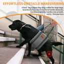 Dog Lift Harness for Large Dogs, Adjustable Comfortable Dog Sling with Handle, Knee & Rear Leg Support for Torn ACL Rehabilitation, Weak Rear Legs, Helps Senior, Disabled Canines(Grey,L)