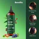 Botanic Hearth 100% Pure Tea Tree Hair Oil For Hair Growth & Hair Treatment Oils 6.7 Fl Oz, 2 Pack|Infused with coconut Oil|Hair Oil Repairs Dry Damaged Hair, Strengthening, Healthier| All Hair Types