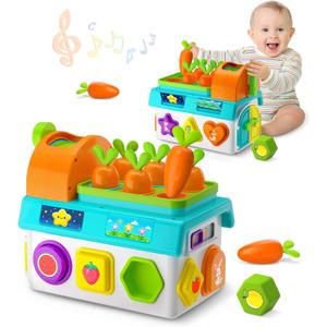 Musical SortingToys for 1 Year Old Boy, 1st First Birthday Boy Girl Gifts Presents, Montessori Educational Learning Toddler Toy for 1-2 Year Old, Fine Motor Skills Toy (Blue)