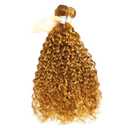 Honey Blonde Bundles Huamn Hair Highlight Curly Wave Human Hair Bundles 20 20 20 Inch Brazilian Virgin Remy Hair Extensions Deals #P2730 Honey Brown Bundle