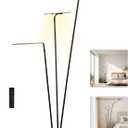 Floor Lamps for Living Room, 3-Head Ring LED Floor Lamp, Tri-Color Stepless Dimming with Remote Control Switch and Inline Footswitch, Modern Minimalist Style for Living Room Bedroom (Black)