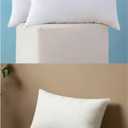 MIULEE Throw Pillow Insert and Non Woven Pillow Insert 12x20 Inch Set of 2
