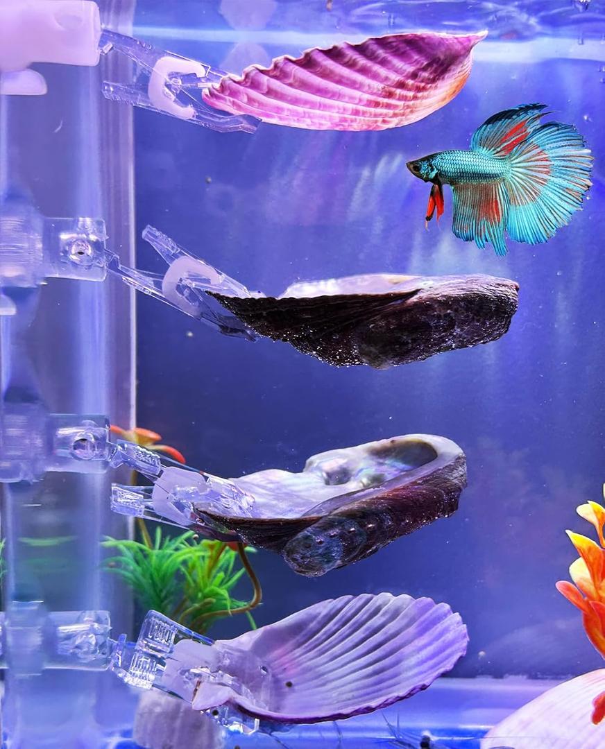 VCEPJH Betta Resting Spot 4 Pcs Shell Bed Toys for Aquarium Betta Hammock with Suction Cups Small Fish Natural Spawning Grounds Breeding Fish Tank Accessories Decorations (2 Pcs Scallops + 2 Pcs Oysters)