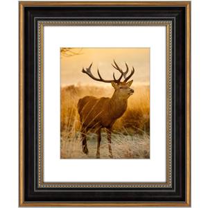 AUEAR,11x14 Picture Frame for 8x10 Photo With Mat or 11x14 Prints Without Mat,Vintage Style,Wall Mounting (Black and Ornate Gold)