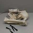 JOYIN 5 Pcs Halloween Skeleton Decorations Outdoor, LED Life Size Skeleton Yard Stakes, Light Up Full Body Realistic Skulls Decor for Graveyard Yard Lawn Garden Holiday Party Decoration