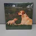 Golden Retriever Dogs & Puppies 16-Month 2018 Calendar