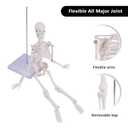 NLShan Human Skeleton Model for Anatomy: Scientific Model with Movable Arms, Legs & Display Stand - 17" Mini Human Skeleton Model for Study and Display