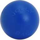 Jolly Pets Push-n-Play Ball Dog Toy, 10 Inches/Large, Blue