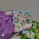 wegreeco Luxury Washable Reusable Dog Diapers (Stylish Pattern) - Female Dog Diapers, Doggie Diapers, 3 Pack (Floral, Small) (Small (Newborn-10.5" Waist))