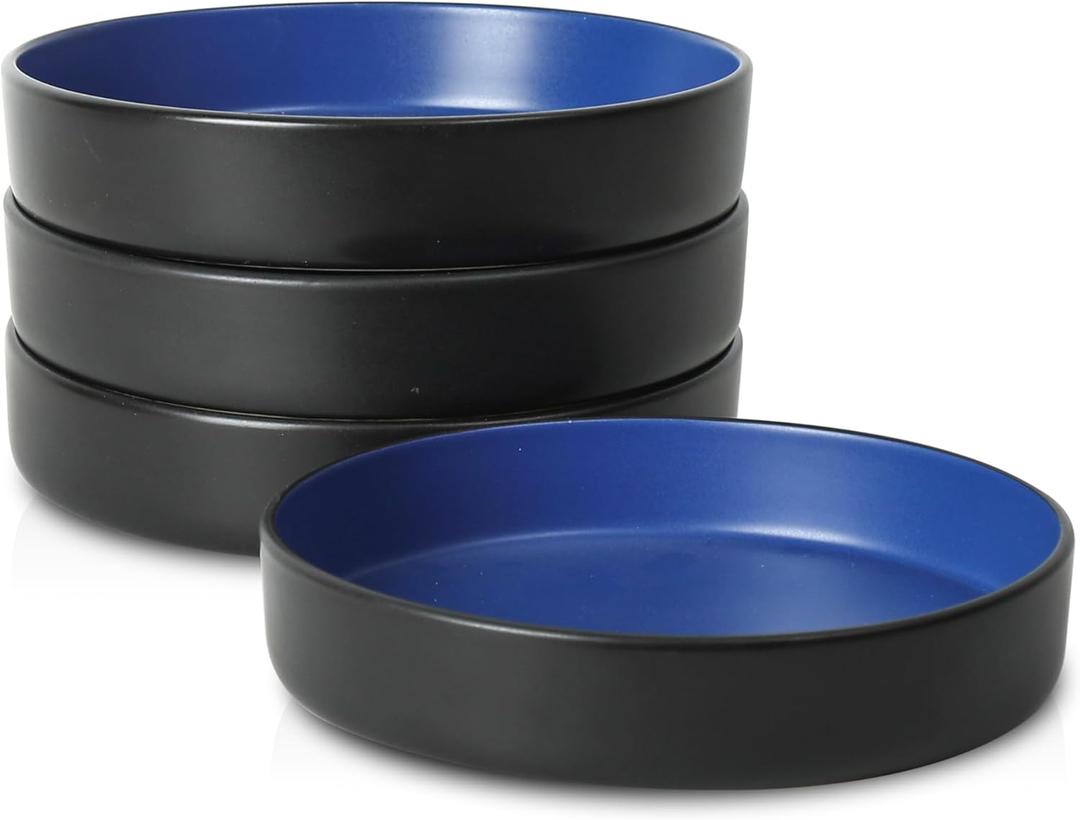 Stone Lain Albie Stoneware Bowl Set, 4-Piece Pasta Bowls for Kitchen, Ceramic Serving for Noodles, Fruit, Cereal, Dinner - Microwave & Dishwasher Safe, Black (Blue and Black)
