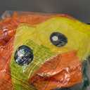 Inflatable Duck Pumpkin Costume for Adults 2026, Halloween Blow up Costume 3D Realistic Suit for Halloween, Cosplay, Parades, Festivals Theme Parties