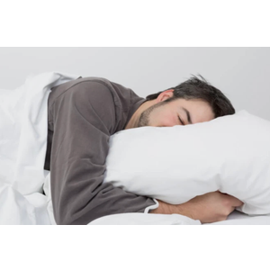 Carpenter White Pillows Mictofiber Twin Pack of 2