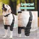Dog Elbow Protector Brace for Canine Pads Elbow&Shoulder Support Callus, Hygroma, Dysplasia, Arthritis, Dislocation, Pressure Sores, with Metal Splints Wrap Both Left and Right Front Legs, Size: L