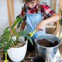 10 x Monstera Potting Soil 1qt - Premium Tropical Blend with Rapid Drainage for Growing and Repotting Monstera Deliciosa (Split-Leaf Philodendron) and Swiss Cheese Plants