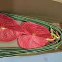 10pcs Red Anthurium Artificial Flowers Branch 23.6" Real Touch Silk Faux Anthurium Long Stem for Vase Filler Wedding Table Centerpieces Home Decor