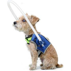 LetPetRun Adjustable Blind Dog Halo, Protective AntiCollision Ring Harness for Visually Impaired Pets, Safe Guidance Mobility Aid (Light Blue XS for 15.518.5)
