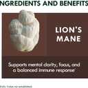 Super Mega Mushroom Gummies 24 in 1 Daily Mushroom Supplement Support for Memory, Focus & Energy, Host Immune Defense with Lions Mane, Reishi, Chaga, Turkey Tail, Citrus Flavor, 120 Gummie