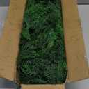 Hananona 6 FT Artificial Cedar Garlands, Real Touch Winter Cedar Cypress Garland, Green Artificial Greenery Pine Garland for Table, Mantle, Wall, Indoor, Outdoor Christmas Decorations (1, 6 FT)